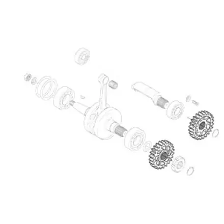 Ausgleichsrad für Kurbelwelle Aprilia Rs 125 ccm Finale Aktion