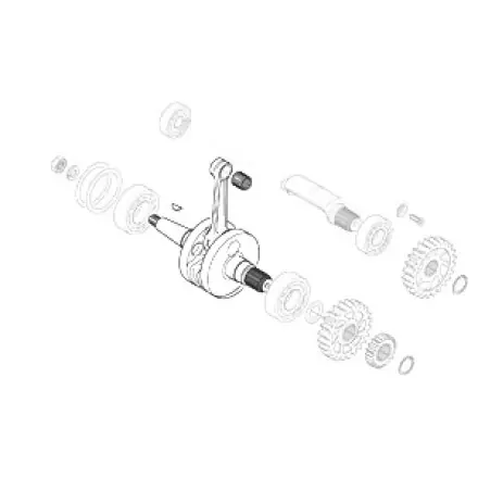 Kurbelwelle original Aprilia RS - RX - SX 125 ccm Nur Für Kurze Zeit