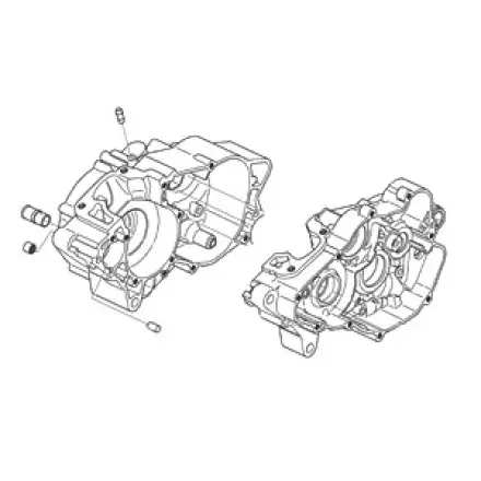 Kostenfreie Lieferung Kurbelgehäuse Aprilia RS - RX - SX 125 ccm