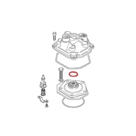 Direktkauf Zylinderkopf Dichtring 23,3x2,4mm 125 ccm Rotax Original
