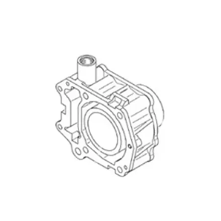 Sonderaktion Zylinder für Rotax Motoren Leonardo - Scarabeo 125 ccm