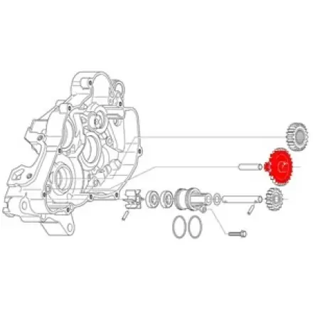 Neu Im Sortiment Freilaufzahnrad Z=28/13 Aprilia Rs 125 ccm