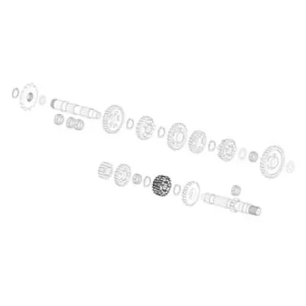 Zahnrad Z=17/19 Aprilia Rs - Rx - Sx 125 ccm Neue Kollektion