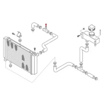 Kühlwasser Entlüftungsschraube Edelstahl - Leonardo - Mojito - RS - Scarabeo - SR - SR Ditech Zertifiziert
