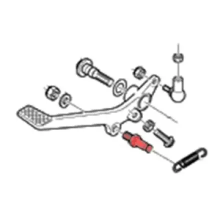 Federn Fixierstift Rs 125 Expressversand