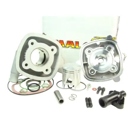 Sonderangebot Zylinder Malossi MHR Replica 80 ccm - Derbi EBE - EBS Motor