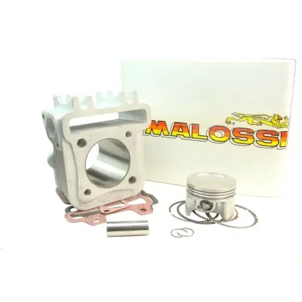 Neuheit Zylinder Malossi Sport 80 ccm - Piaggio 4 Takt - Sportcity - Scarabeo - Fly - ZIP - Vespa LX - S