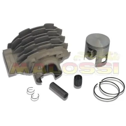 Kostenloser Versand Zylinderkit Malossi 172ccm