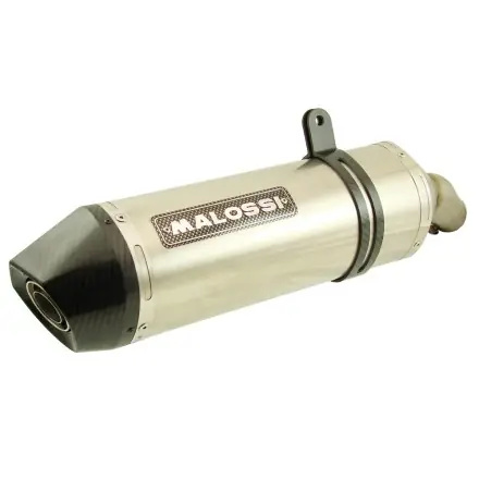 Malossi Wild Lion (T-Max Typ 4b5) Zertifiziert
