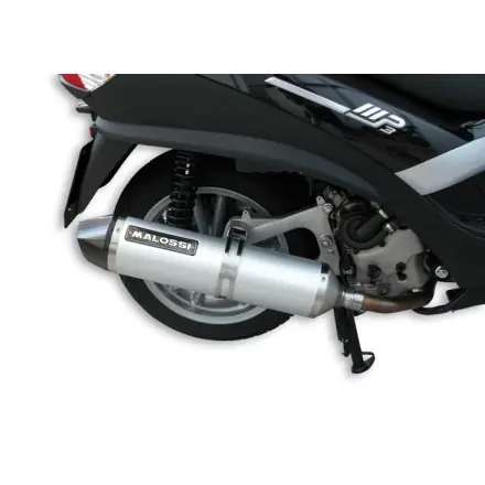 Sale Malossi Wild Lion (E-Pass) (T-Max Typ 4b5)