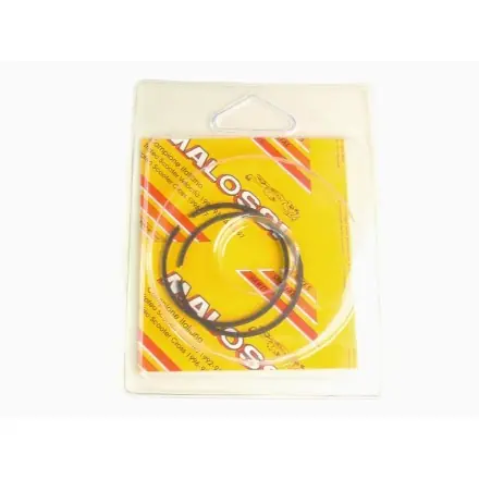Kolbenringe 74 mm Malossi für Zylinder - MS3114537 - MS3114268 - MS3111473 - MS319578 Expressversand