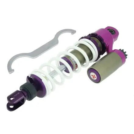 Garantierte Lieferung Stoßdämpfer Malossi RS24/10 (hinten)