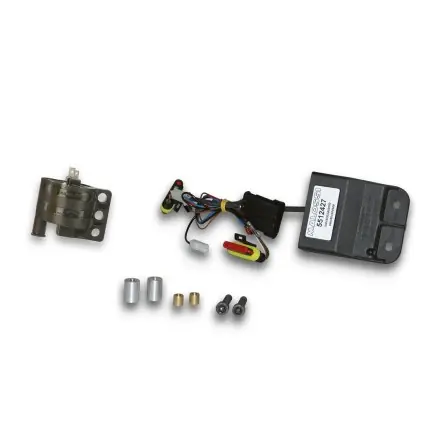 CDI Malossi TCU RPM Control Kippschalter - Malaguti F12 Digikat - Euro 2 Sonderangebot