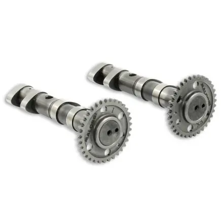 Nockenwellen Malossi Spezial Power Cam Double Heißes Angebot