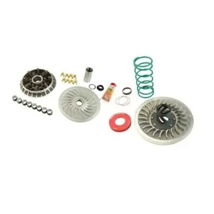 Super-Preis Wandler Malossi MHR Overrange Kit (T-Max 530)