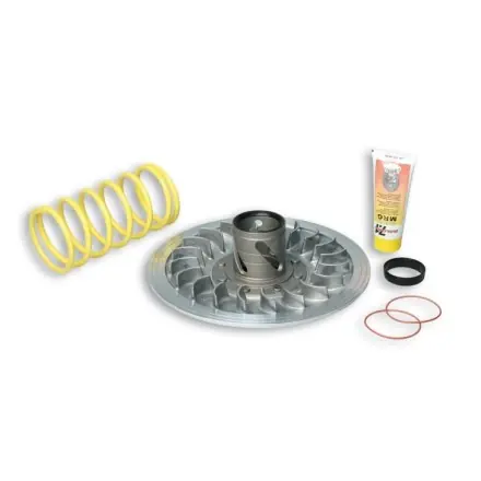 Letzte Chance Wandler Malossi Torque Drive Sport - Yamaha T-Max 500