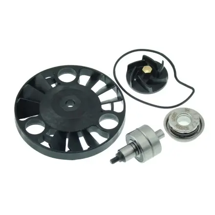 Neu Wasserpumpe Reparatursatz - Piaggio 4-Takt 125 - 200 ccm - Runner VX - Beverly - X8 - X9 - Scarabeo - Sportcity - Vespa GT