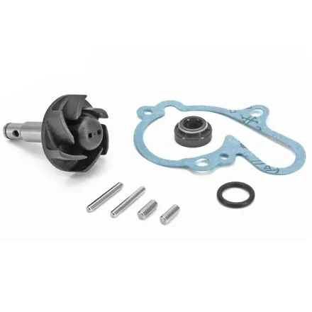 Neu Wasserpumpe Reparatursatz - Minarelli AM 6 Motor bis Bj 05 - Aprilia MX - RX - SX - RS - CPI SM - Peugeot XP - X-Limit