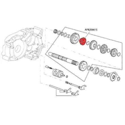 Sichere Zahlung Zahnrad 5. Gang 25 Z Vorgelege - AM6 Motor - Aprilia RS 50 - CPI SM - SX- SMX - Generic Trigger - Rieju SMX - Peugeot XP - XR