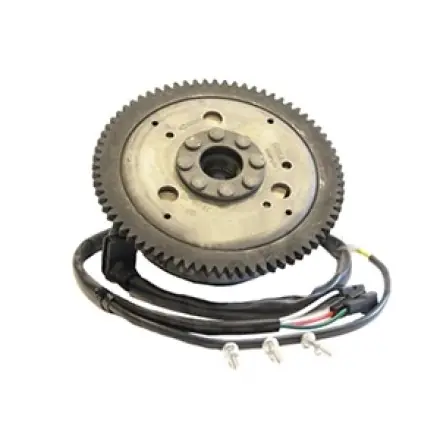 Lichtmaschine - AM6 Motor - Aprilia RS 50 - CPI SM - SX- SMX - Generic Trigger - Rieju SMX - Peugeot XP - XR Beliebt