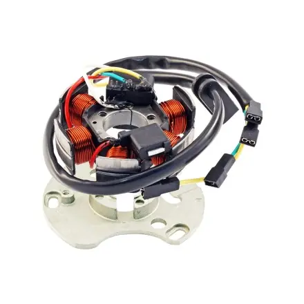 Ankerplatte - Lichtmaschine - Derbi D50B - Aprilia RS - RS4 - Derbi GPR - Senda R - SM Direktkauf