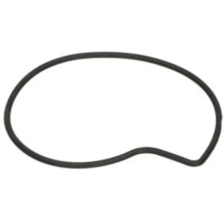 Wasserpumpe Dichtung - Piaggio 125 - 300 - Atlantic - Scarabeo - Sportcity - Nexus - Runner - Beverly - Liberty - MP3 - X - Vespa GTS - GTV - LX - LXV Online Kaufen