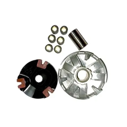 Zertifiziert Variomatik Standard - CPI - Keeway - Generic - Rivero - Explorer- Sachs