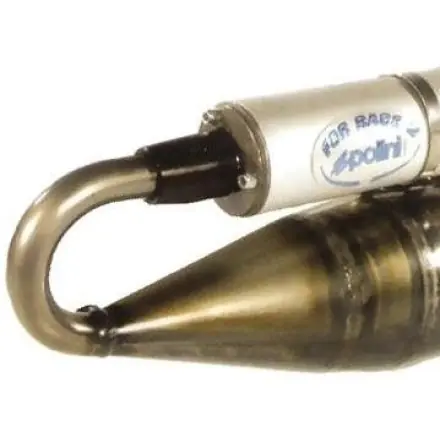 Schnäppchen Auspuff Polini Forrace 2 (ABE)