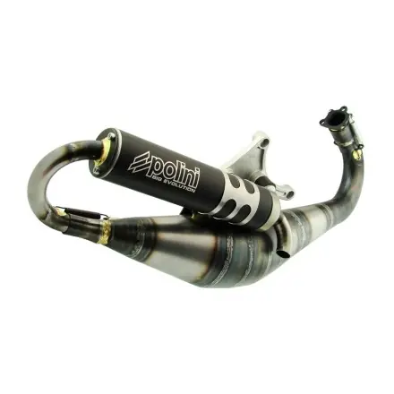 Kostenloser Rückversand Auspuff Polini Big Evolution 84/94 ccm - Minarelli Motor - Aerox - Nitro - Malaguti F15