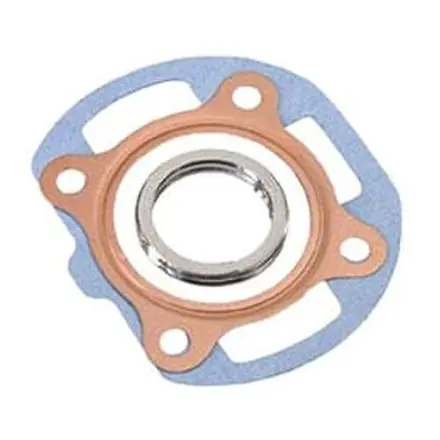 Versand Am Gleichen Tag Polini Dichtungssatz für Zylinder PO1660079, PO1660074, PO1660074R