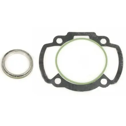 Polini Dichtungssatz für Zylinder PO1190077, PO1190077R, PO1420147 und PO1420147R Wochenendangebot