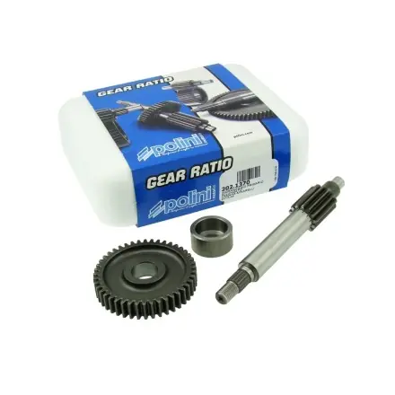 Getriebe Polini primär 13/44 - Minarelli Motoren - Aerox - Nitro - Ovetto - Jog - Mach G - SR50 - F12 - F15 Neue Kollektion
