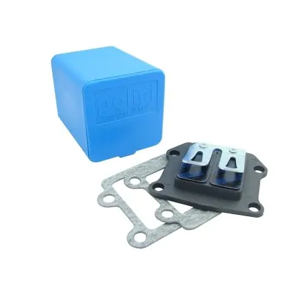 Top-Angebot Membranblock Polini Carbon Evo - Minarelli stehend - Booster - BWs - Stunt - Slider