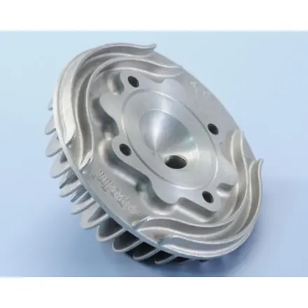 Gratis Versand Zylinderkopf Polini Racing für 130ccm