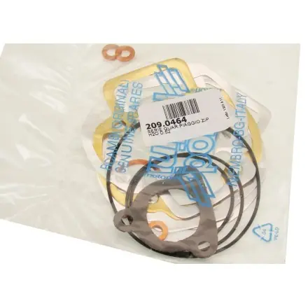 Markenware Polini Dichtungssatz für Big Evo Zylinder Piaggio Wasser