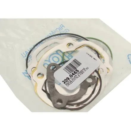 Kostenloser Rückversand Polini Dichtungssatz für Bigevo Zylinder Minarelli Wasser