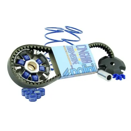 Variomatik Polini Speed Control komplett Kit - Peugeot liegend - Jetforce - Ludix - Speedfight 3 Expressversand