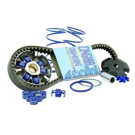Variomatik Polini Hi-Speed komplett Kit - Piaggio Motor - Runner - NRG - Stalker - Storm - TPH - ICE - SR50R Markenware