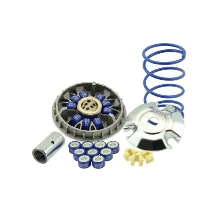 Zertifiziert Variomatik Polini Super Speed 9 Rollen 20x12 - Honda PCX 125