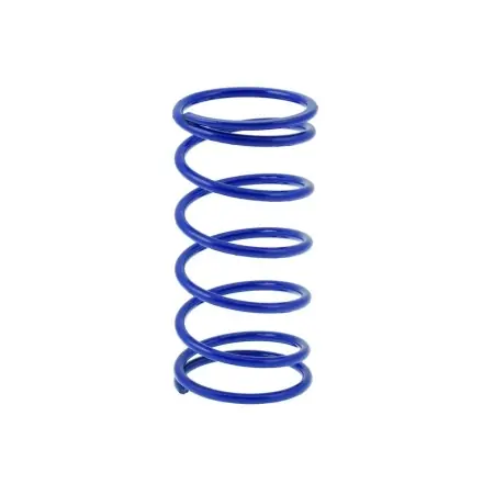 GegendruckfederPolini (+60%) - Morini Motor - Suzuki Address - Aprilia Mojito - Italjet Formula - TGB Bullet Schneller Versand