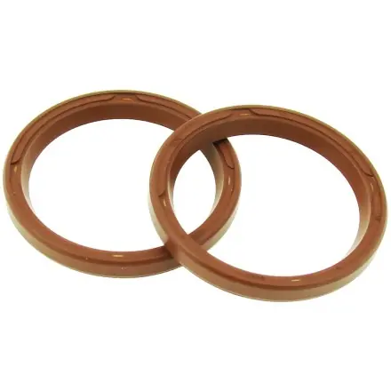 Simmerringe für Polini Variomatik D.31 (2 Stück) Preisreduziert