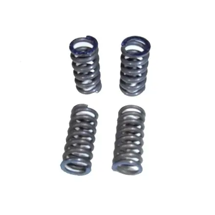 Polini Speed Clutch 2G Evo Ersatzfedern Preiswert