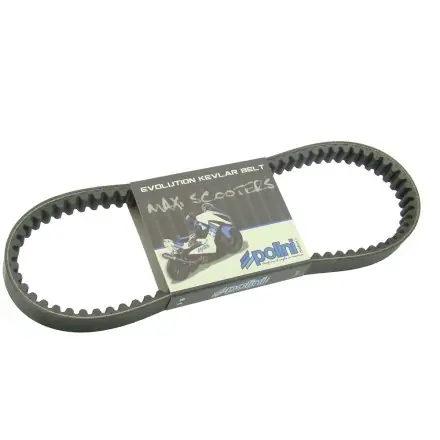 Neue Kollektion Keilriemen Polini Race-Kevlar814x22 mm - Piaggio 125 150 4Takt - Atlantic - Mojito - Sportcity - Nexus - Runner - Fly - Vespa LX - LXV - S - X - Zip