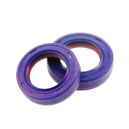 Letzte Chance Kurbelwellen Simmerringe Polini Viton Set - Derbi EBE - EBS Motor - Derbi Senda 94 - 02 - Bultaco - Cagiva Mito - Derbi GPR - Gilera GSM - Derbi D50B