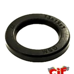 Letzte Chance Simmerring Wandler Variomatik Außenseite 13x19x3mm Wellendichtring Ciao