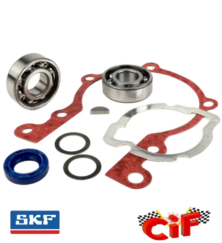 Neu Motorüberholsatz Lager SKF 6202-C3 Motordichtsatz Ciao, Bravo, SI -CIF-