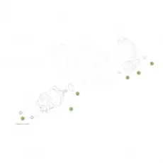 Beta RR250 2T 14 Elektrostarter Preisknaller