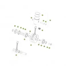 Beta RR250 2T Racing 14 Kurbelwelle/Kolben/Ausgleichswelle Super-Preis