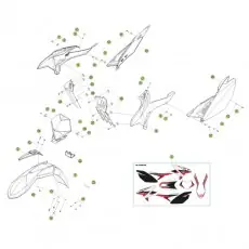 Beta RR125 14 Verkleidung/Sitzbank/Tank 2 Gratis Versand