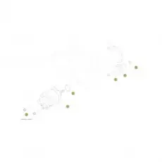 Beta RR250 Racing 17 Elektrostarter Top-Seller